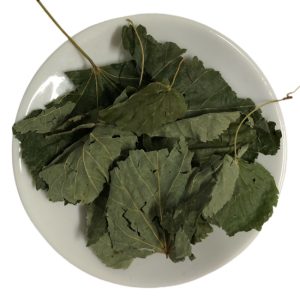 Липа (лист)